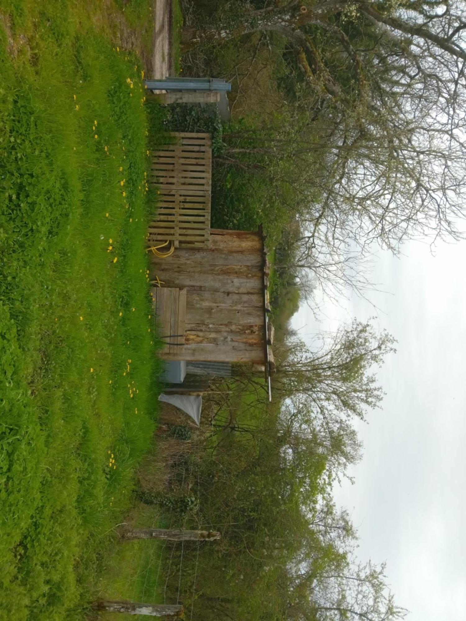 Campingfiz Varzy Exterior foto